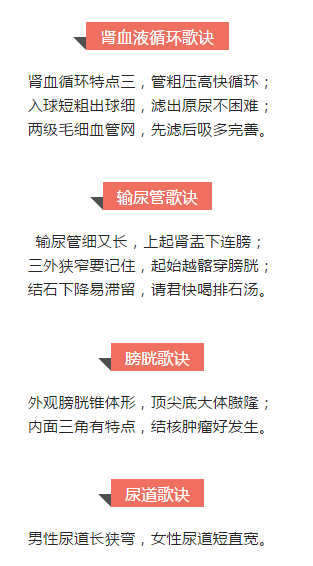 临床执业医师考试泌尿系统口诀