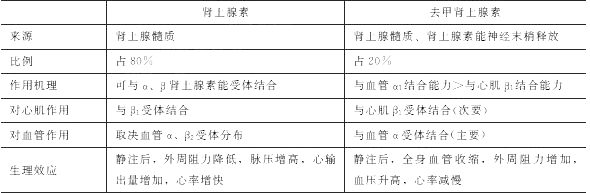 临床执业医师考试《生理学》考点：心血管活动的调节